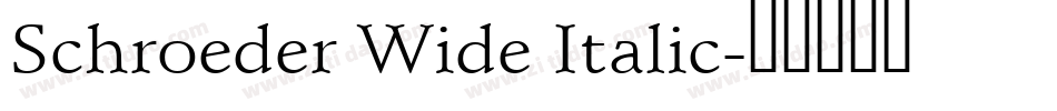 Schroeder Wide Italic字体转换